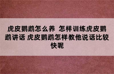 虎皮鹦鹉怎么养  怎样训练虎皮鹦鹉讲话 虎皮鹦鹉怎样教他说话比较快呢